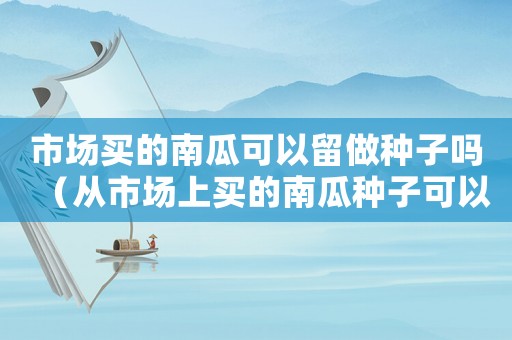 市場(chǎng)買的南瓜可以留做種子嗎（從市場(chǎng)上買的南瓜種子可以種嗎?）
