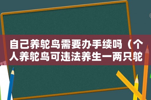 自己養(yǎng)鴕鳥需要辦手續(xù)嗎（個人養(yǎng)鴕鳥可違法養(yǎng)生一兩只鴕鳥）