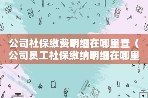 公司社保繳費明細(xì)在哪里查（公司員工社保繳納明細(xì)在哪里查詢）