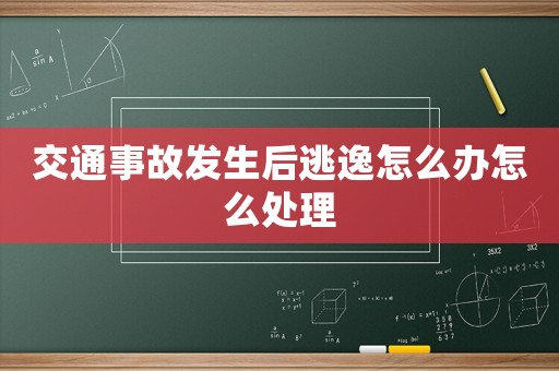 交通事故發(fā)生后逃逸怎么辦怎么處理