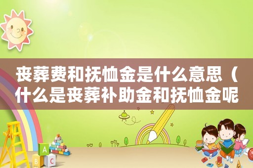 喪葬費和撫恤金是什么意思（什么是喪葬補助金和撫恤金呢區(qū)別）