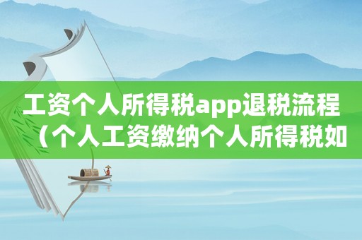 工資個(gè)人所得稅app退稅流程（個(gè)人工資繳納個(gè)人所得稅如何退稅申報(bào)）