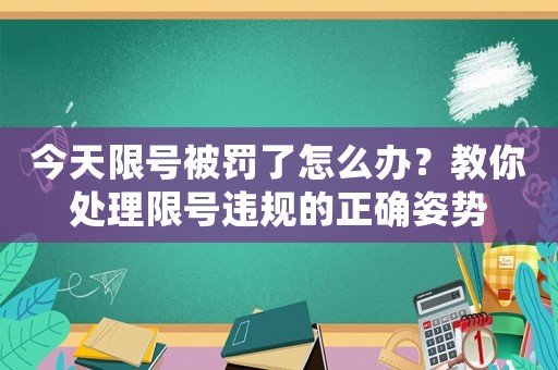 今天限號(hào)被罰了怎么辦？教你處理限號(hào)違規(guī)的正確姿勢(shì)