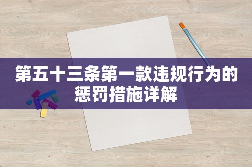 第五十三條第一款違規(guī)行為的懲罰措施詳解