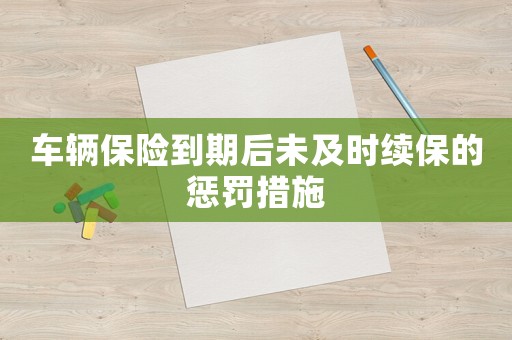 車輛保險(xiǎn)到期后未及時(shí)續(xù)保的懲罰措施