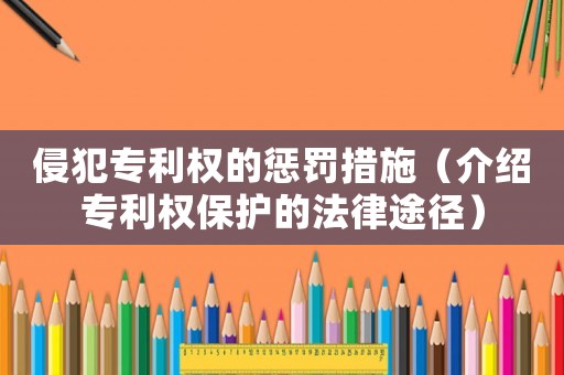侵犯專利權(quán)的懲罰措施（介紹專利權(quán)保護(hù)的法律途徑）