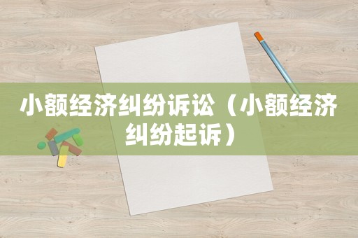 小額經(jīng)濟糾紛訴訟（小額經(jīng)濟糾紛起訴）
