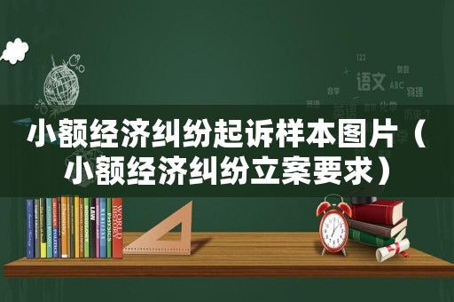 小額經(jīng)濟(jì)糾紛起訴樣本圖片（小額經(jīng)濟(jì)糾紛立案要求）