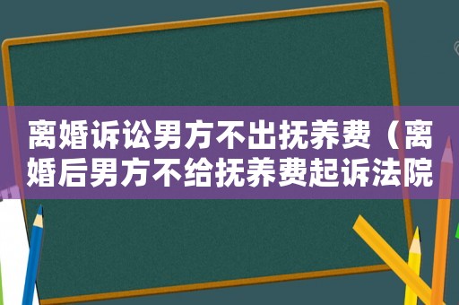 離婚訴訟男方不出撫養(yǎng)費（離婚后男方不給撫養(yǎng)費起訴法院會怎樣執(zhí)行）