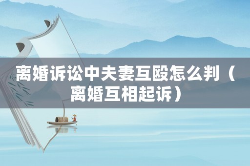 離婚訴訟中夫妻互毆怎么判（離婚互相起訴）