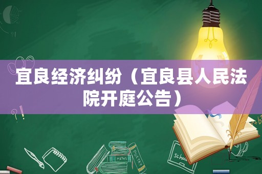 宜良經(jīng)濟(jì)糾紛（宜良縣人民法院開(kāi)庭公告）