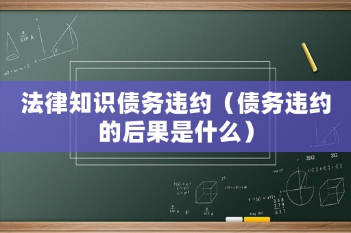 法律知識債務(wù)違約（債務(wù)違約的后果是什么）