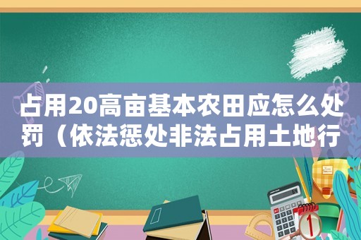 占用20高畝基本農(nóng)田應(yīng)怎么處罰（依法懲處非法占用土地行為）