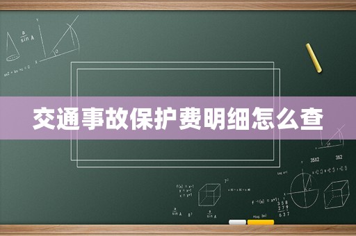 交通事故保護(hù)費(fèi)明細(xì)怎么查