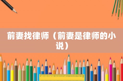 前妻找律師（前妻是律師的小說）