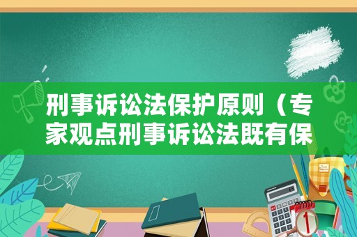 刑事訴訟法保護原則（專家觀點刑事訴訟法既有保障刑法實施的工具價值）