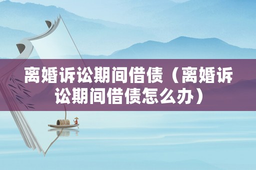 離婚訴訟期間借債（離婚訴訟期間借債怎么辦）