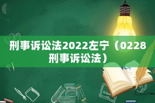 刑事訴訟法2022左寧（0228刑事訴訟法）