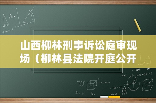 山西柳林刑事訴訟庭審現(xiàn)場(chǎng)（柳林縣法院開(kāi)庭公開(kāi)網(wǎng)）