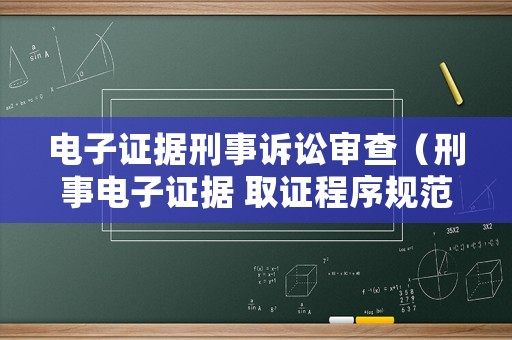電子證據(jù)刑事訴訟審查（刑事電子證據(jù) 取證程序規(guī)范化）