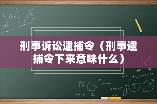 刑事訴訟逮捕令（刑事逮捕令下來意味什么）