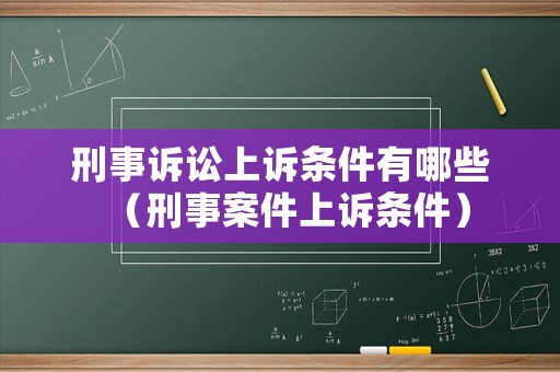 刑事訴訟上訴條件有哪些（刑事案件上訴條件）