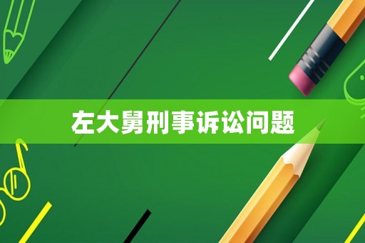 左大舅刑事訴訟問(wèn)題