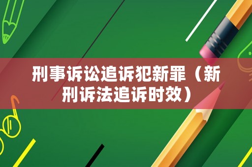 刑事訴訟追訴犯新罪（新刑訴法追訴時(shí)效）
