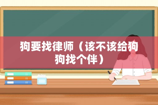 狗要找律師（該不該給狗狗找個伴）
