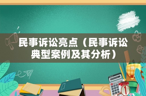 民事訴訟亮點(diǎn)（民事訴訟典型案例及其分析）