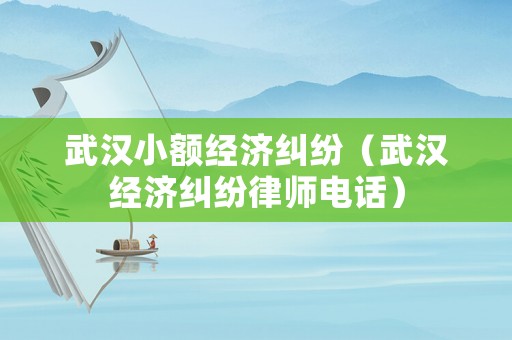 武漢小額經(jīng)濟糾紛（武漢經(jīng)濟糾紛律師電話）