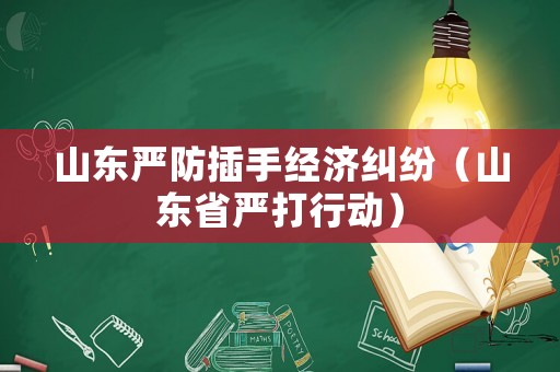 山東嚴(yán)防插手經(jīng)濟(jì)糾紛（山東省嚴(yán)打行動(dòng)）