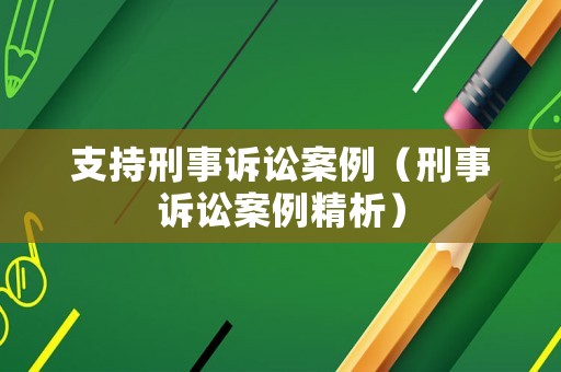 支持刑事訴訟案例（刑事訴訟案例精析）