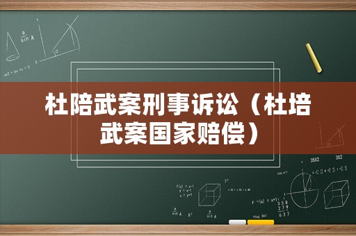 杜陪武案刑事訴訟（杜培武案國(guó)家賠償）