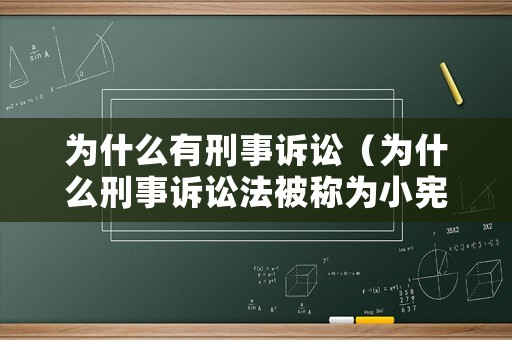 為什么有刑事訴訟（為什么刑事訴訟法被稱為小憲法）