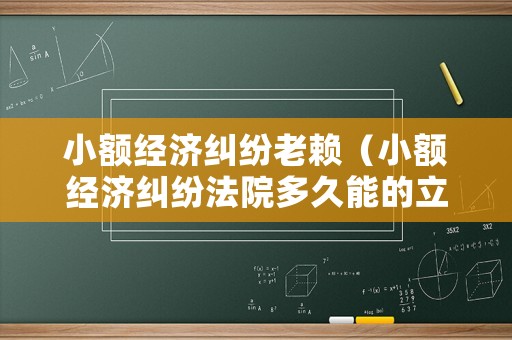 小額經(jīng)濟糾紛老賴（小額經(jīng)濟糾紛法院多久能的立案）