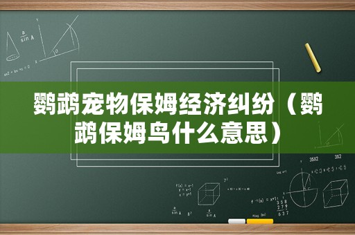 鸚鵡寵物保姆經濟糾紛（鸚鵡保姆鳥什么意思）