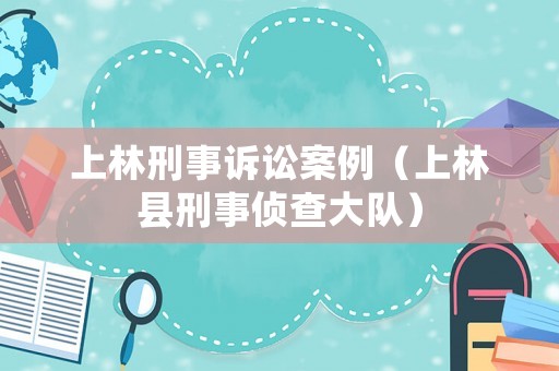 上林刑事訴訟案例（上林縣刑事偵查大隊）