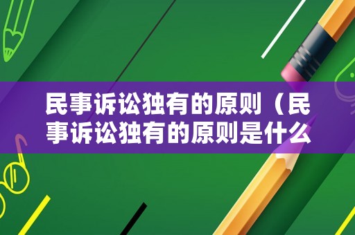 民事訴訟獨(dú)有的原則（民事訴訟獨(dú)有的原則是什么）