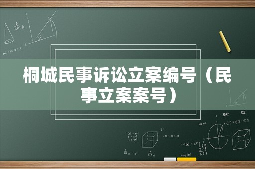 桐城民事訴訟立案編號(hào)（民事立案案號(hào)）