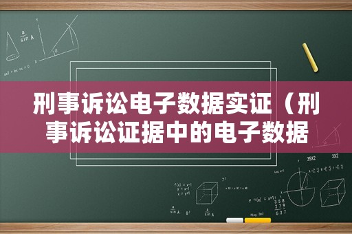 刑事訴訟電子數(shù)據(jù)實(shí)證（刑事訴訟證據(jù)中的電子數(shù)據(jù)）