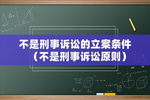 不是刑事訴訟的立案條件（不是刑事訴訟原則）