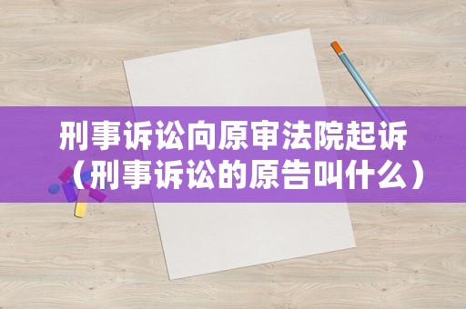 刑事訴訟向原審法院起訴（刑事訴訟的原告叫什么）