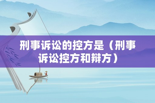 刑事訴訟的控方是（刑事訴訟控方和辯方）