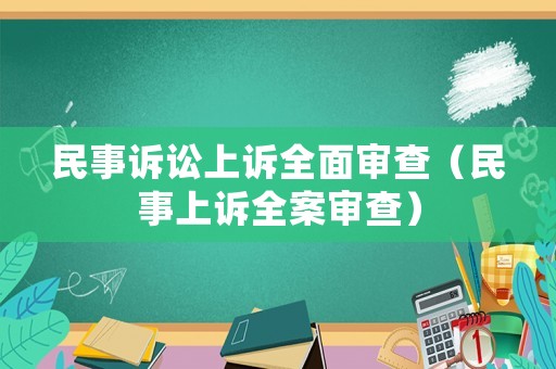 民事訴訟上訴全面審查（民事上訴全案審查）