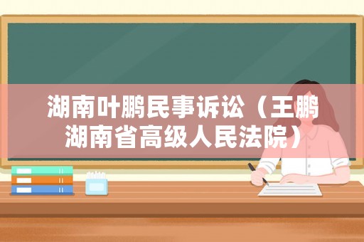 湖南葉鵬民事訴訟（王鵬湖南省高級人民法院）
