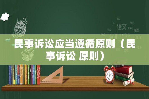 民事訴訟應(yīng)當(dāng)遵循原則（民事訴訟 原則）