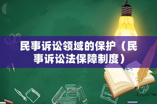 民事訴訟領(lǐng)域的保護（民事訴訟法保障制度）
