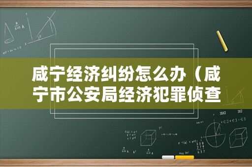 咸寧經(jīng)濟糾紛怎么辦（咸寧市公安局經(jīng)濟犯罪偵查支隊）