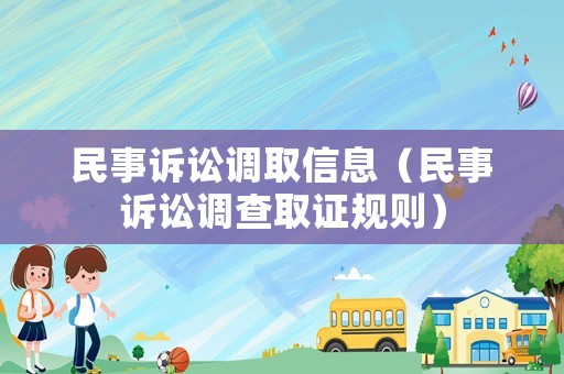 民事訴訟調(diào)取信息（民事訴訟調(diào)查取證規(guī)則）
